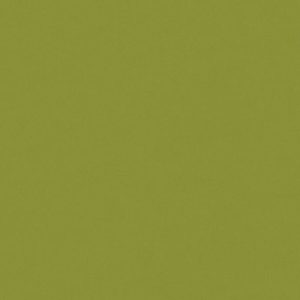 Thermo Innen grün Sichtschutz nach Maß