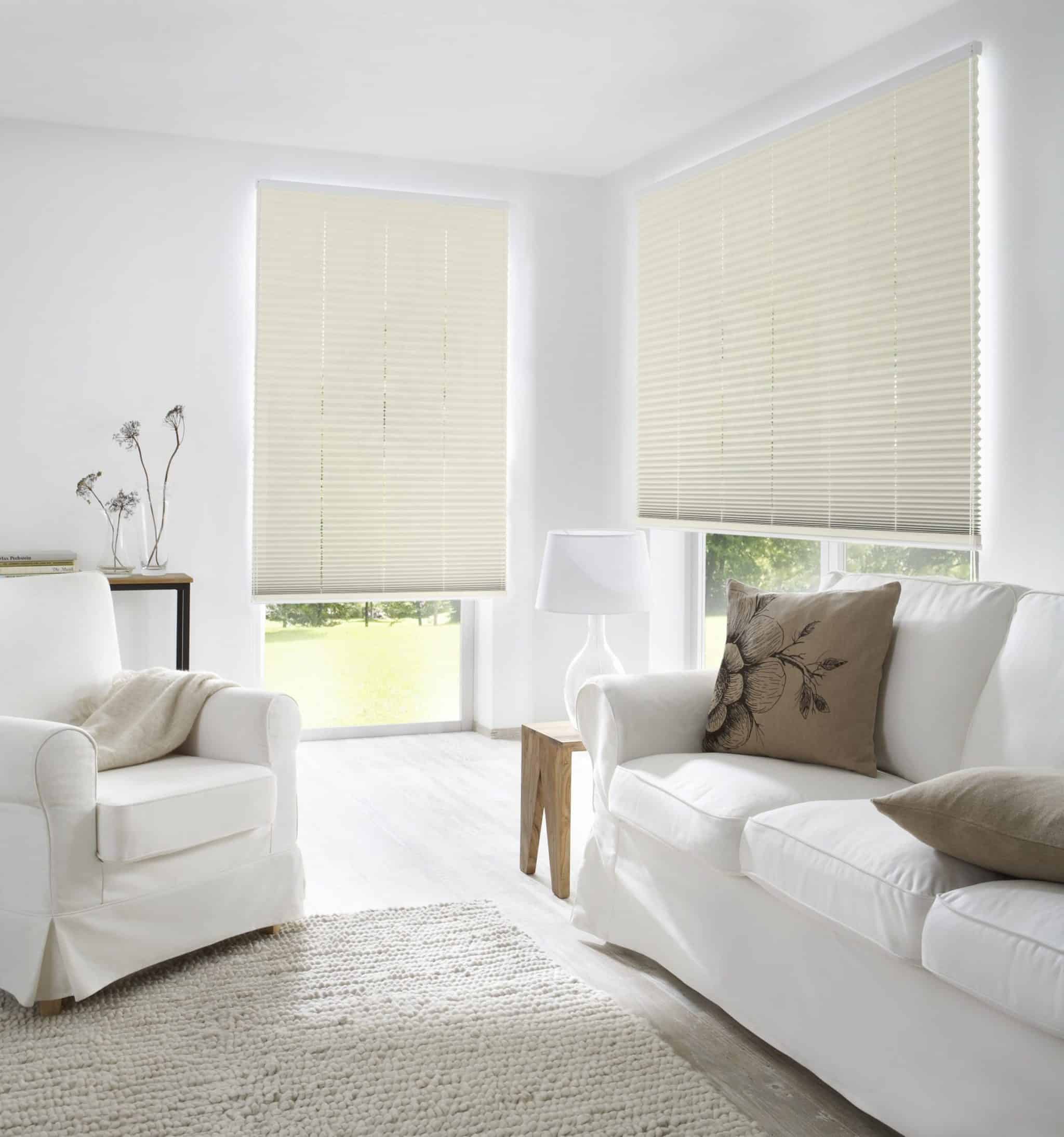 Zwei Wohnzimmer Plissees beige Wohnzimmer