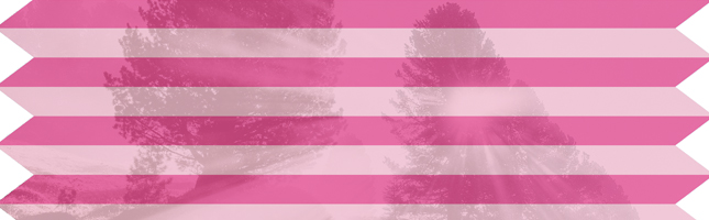 Artikelfinder Plissee Lichtdurchlässig