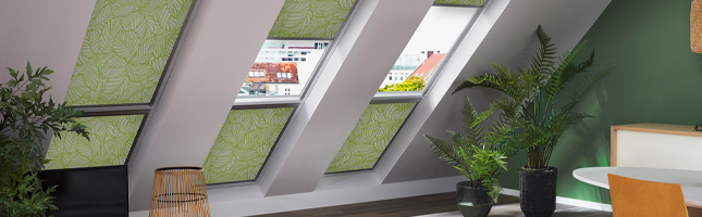 Artikelfinder Rollos Dachfenster