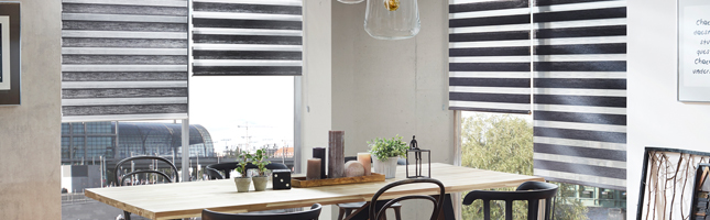 Artikelfinder Doppelrollo