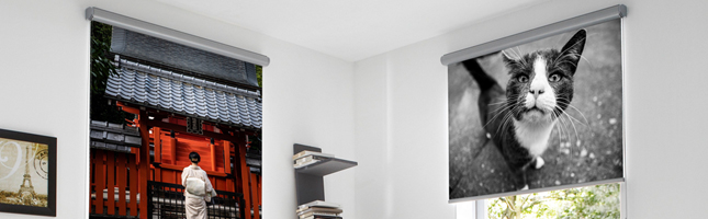 Artikelfinder Foto Rollo