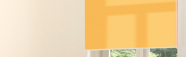 Rollo finden lichtdurchlässig
