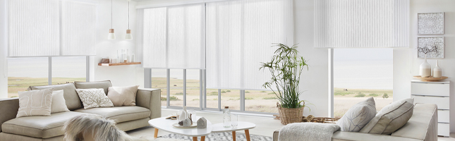 Artikelfinder Sichtschutzrollo