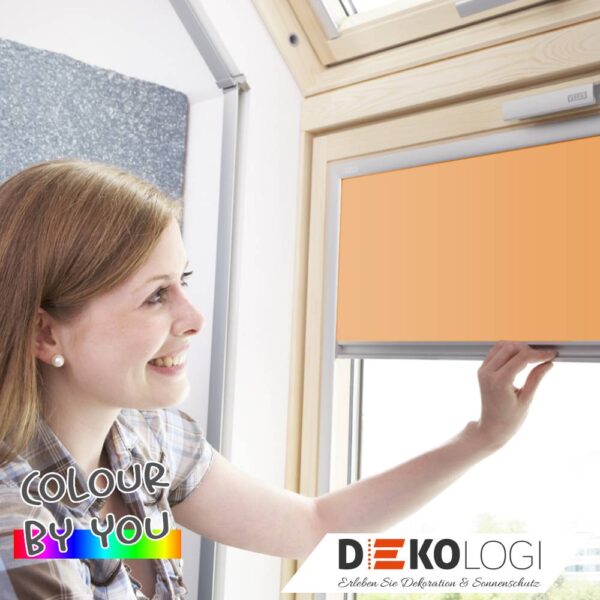 Rollo Farbe exakt nach NSC Farbton