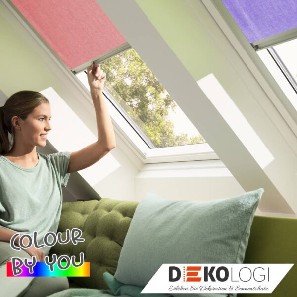 Sichtschutzrollo Colour by you