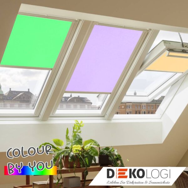Sichtschutzrollo bunt Colour by you schienengeführt
